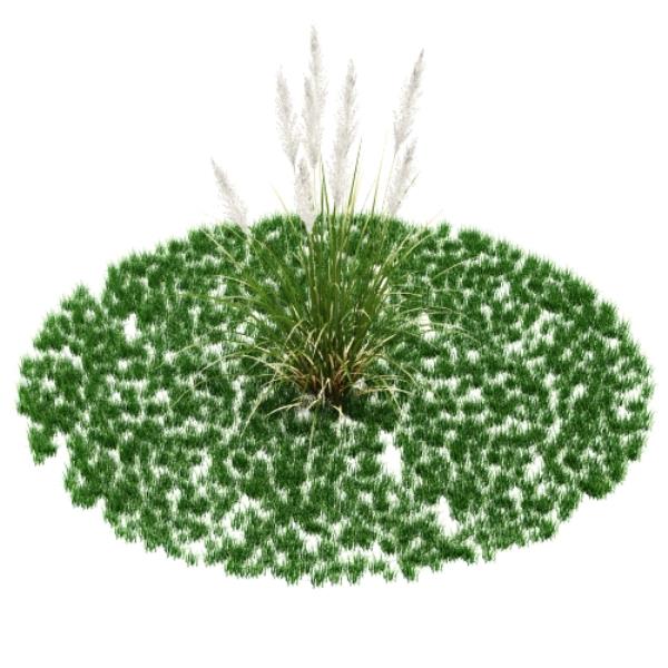 مدل سه بعدی گیاه